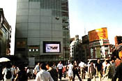 FLAGS VISION